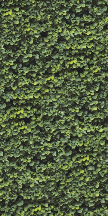 Casalgrande Padana Limpha Arborea połaczenie mat-poler 120x240 cm gr. 6 mm